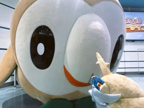 圧がすごいよ