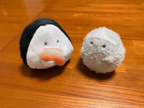はじめ まして！ お かお にてる ね☺️