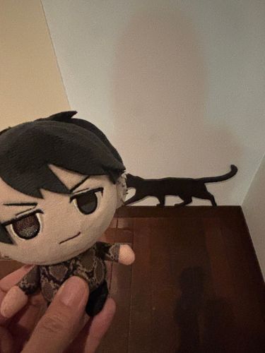 むむ？🐈‍⬛