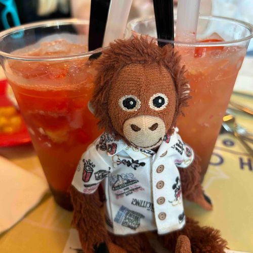暑いから飲んでばっか🥤