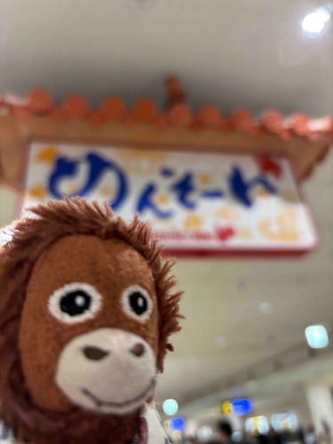 着きました〜🩷