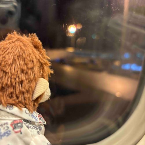帰るよ〜　いろいろあとから報告するね〜✈️