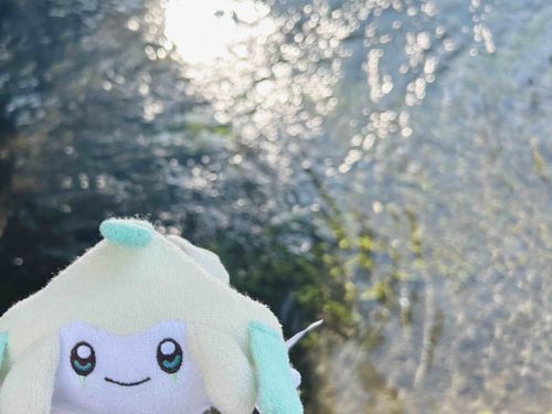 綺麗な水面！✨