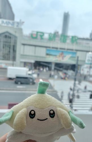 久しぶりのお出かけ