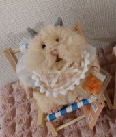 はむきち