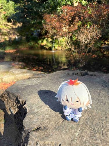紅葉で赤く染って鶴らしくなったんまっ❕