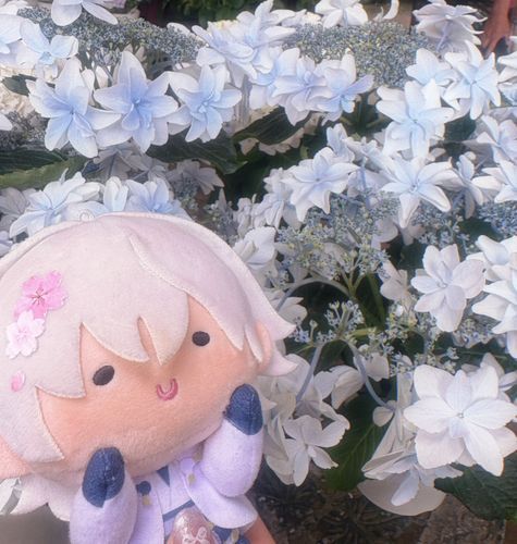 俺と同じくらいキレイだな‼️