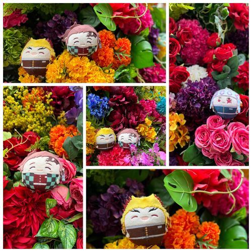 🇯🇵|Tokyo,Japan|ふわふわなものたち|Flowers in full bloom