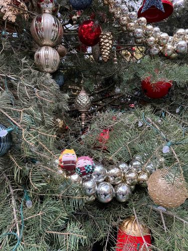 🇺🇸|NYC|？？？
🎄マーケットに小さないのちが楽しそうに寄り添っていました