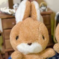 弟子のポンテ