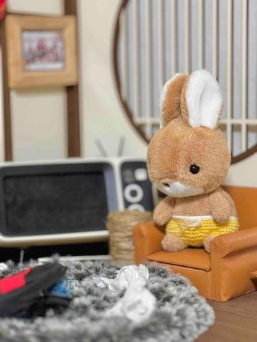 おうちのひとに、きいてみたら、あと2しゅうかんくらい、ししょーとあえないです
さみしいです
ハナがずびずびです