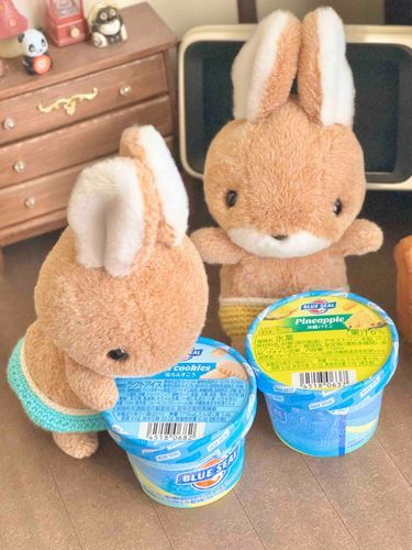 アイスを、もらいました
ポンテは、きいろをたべます