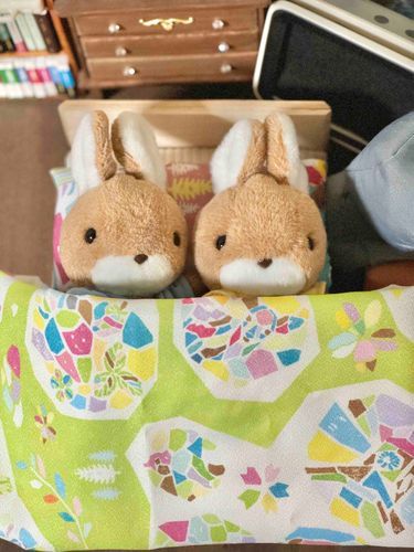 ベッドが、せまいです
ししょーと、ギューギューなので、うれしいです