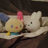うさぎせいかつ