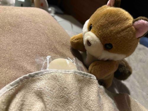 （いっぱい寝たらおもちさん大きくなるかも）