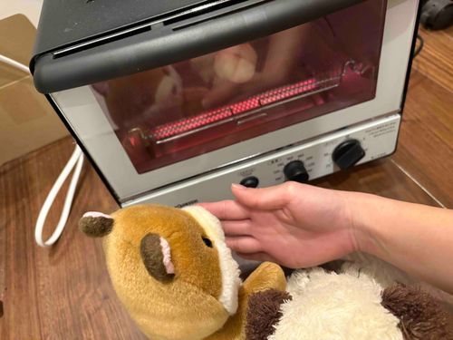 まだだよ
