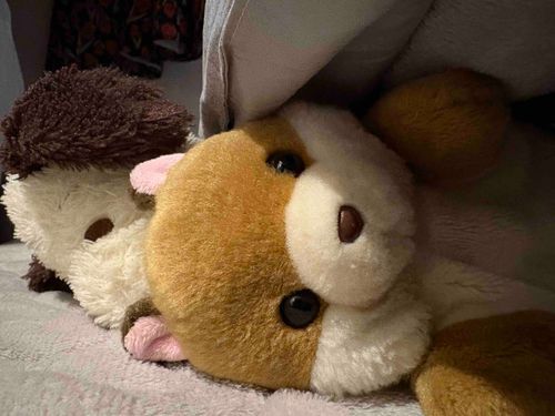 お仕事さ⋯行くのやめなよ⋯寒いしさ⋯⋯