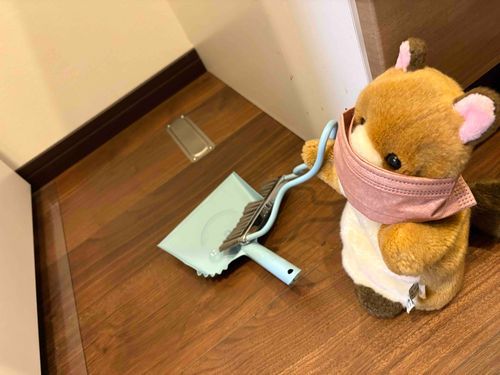 リスﾁｬﾝがお掃除しちゃうか⋯⋯