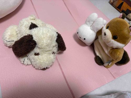 からだ、やわらか〜い⋯！