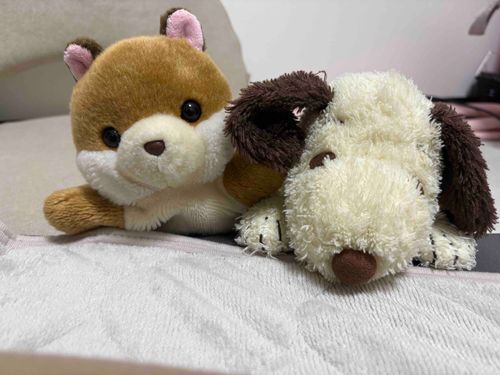 おふとん い〜れて！