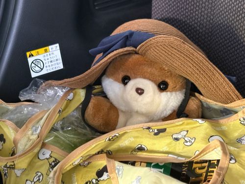 むぎわらの ぼうしの ﾘ~~ｽﾁｬﾝ