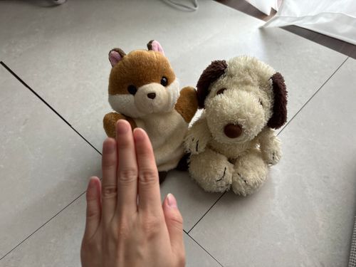 え？まだおしごと･･･？