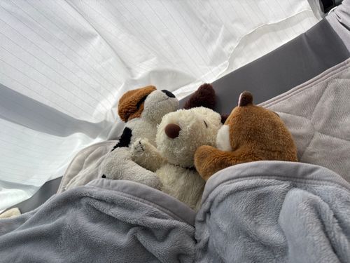 （ｽﾔﾋﾟｺ･･･😴）