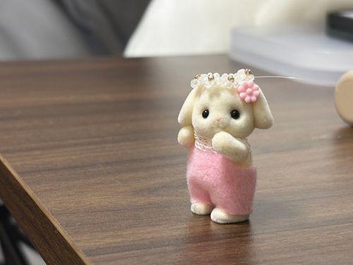 人間のゆびわだけどシエルちゃんにあげるよ