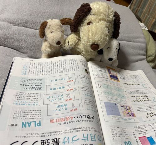 人間におかたづけさせないと･･･