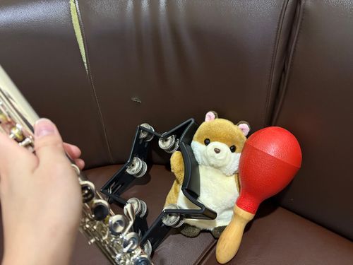 練習のつきそいに来たよ りすちゃんもｼｬﾝｼｬﾝ('ω' ﾉ۝ﾉ゛