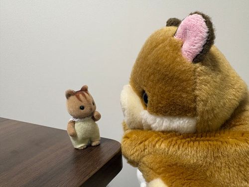 あなたもりすちゃん⋯？
