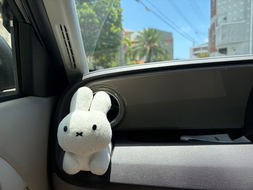 きょうは いい ﾕｰｷｭｰびよりですね