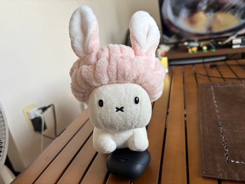 にんげん、ブルーナうさぎはこれからこの世を統べようかと思います