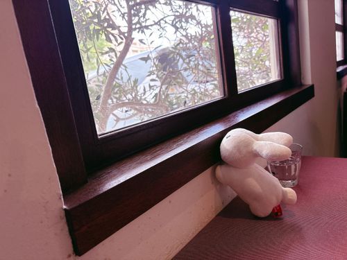 近頃のにんげんはｺﾞｰｶｸやらﾌｻｲﾖｰやらでてんやわんや ブルーナうさぎもなんだかナイーブな気持ちです