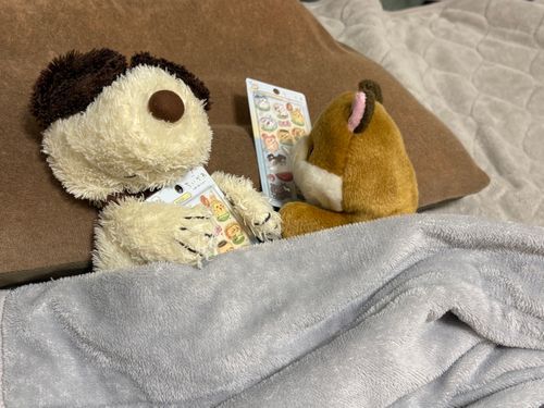 おいしい屋台が てんこもり·····🎶