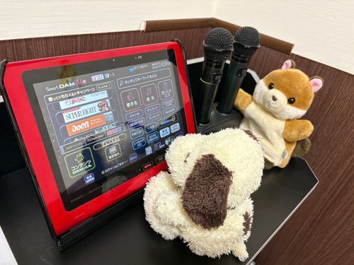 マイクなにいろがいいー？