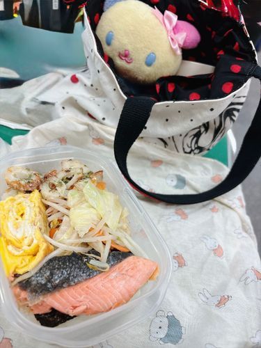 きょうはハナがにんげんのお弁当をチェックよ🍱