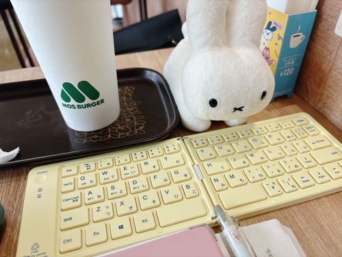 にんげんのｼｭｰｶﾂにブルーナうさぎも付き添います