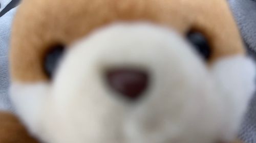 おさんぽいこ