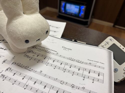 新しい曲だいすきです
とびはねたくなりますね·····🎶🌟