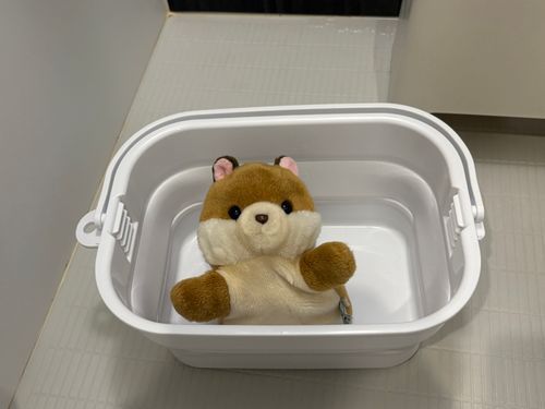 な、なにを·····！