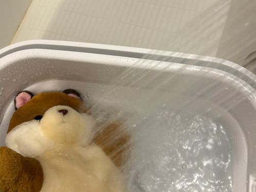 ｳﾜｰ