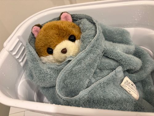 すっきり さっぱり
