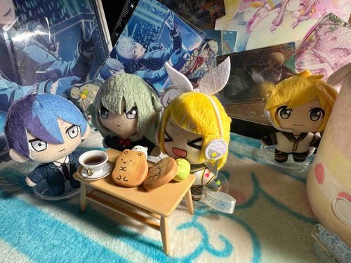 今日はお月見日和なんだって‼︎
おもちなかったからクッキー食べる🍪
レンも一緒に食べる？
（リン）