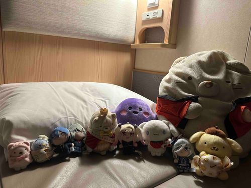 みんなで船に乗っていったんだ
そんなに揺れなかったけど楽しみで
あまり寝られなかった🥱
（しろくま）