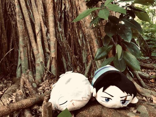 精霊が済むと言われる場所だ。ゲゲ郎ともう一度行きたい