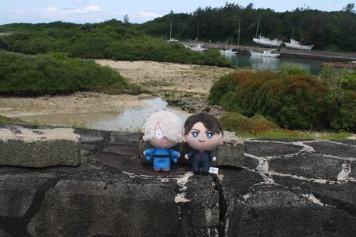 海沿いを散歩
