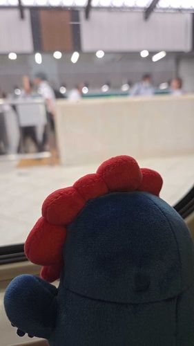 おうちにかえります