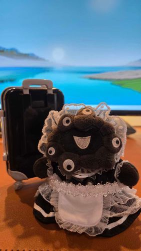 おめかししてお出かけする用のワンピースだよ　かわいいでしょ！
黒もちには小さいお洋服だったから最初は背中が見えちゃったけど、今はお直ししてもらったから、もう後ろを見られても恥ずかしくないよ！