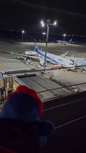 夜の空港をお散歩した！
おそい時間でもはたらいてる人がいっぱいいる！えらいねぇ…